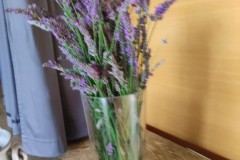 IMG_20220701_110238