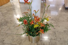 IMG_20220701_110731