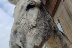 IMG-20240425-WA0021