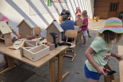 IMG-20220817-WA0009