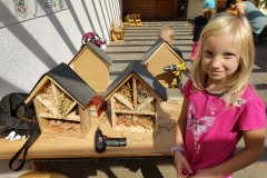 IMG_20220817_110156