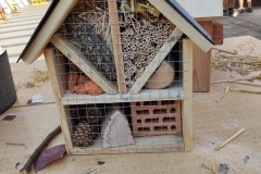 IMG_20220817_110417