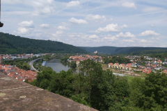 wertheim-10