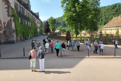 wertheim-7