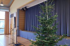 IMG_20231208_142513